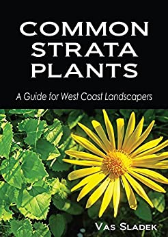 Common Strata Plants